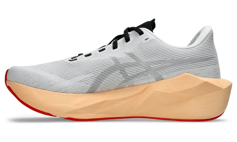 asics-novablast 1011C243-102