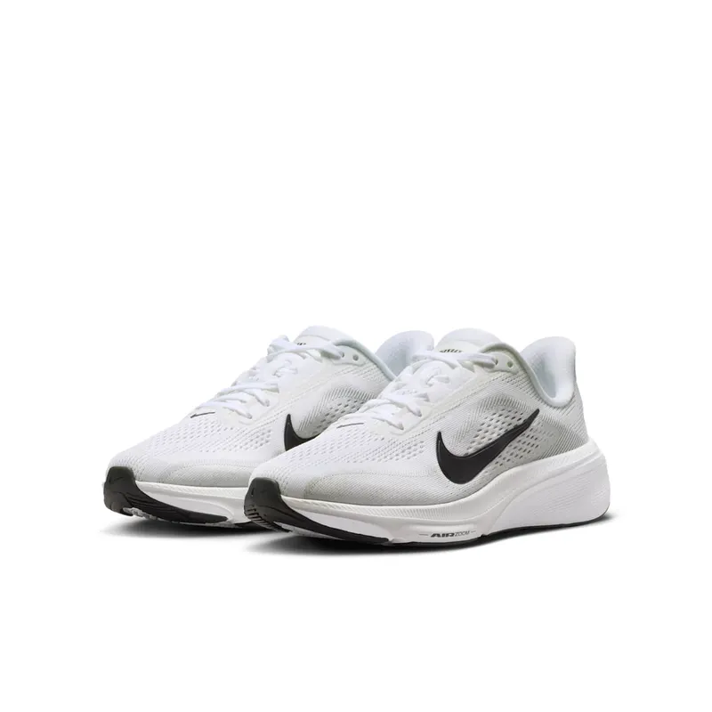 Nike Pegasus White/Photon Dust/Black (IH2306-101)