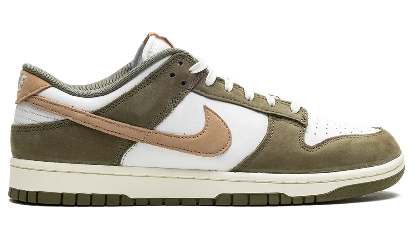 nike-dunk FQ8250-200