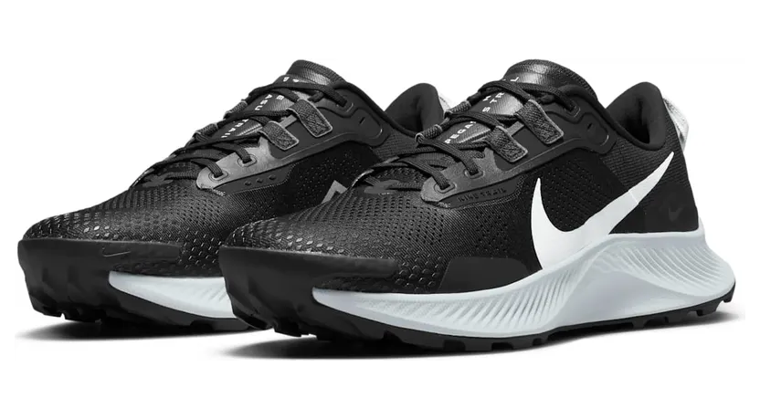 nike-air-pegasus DA8697-001