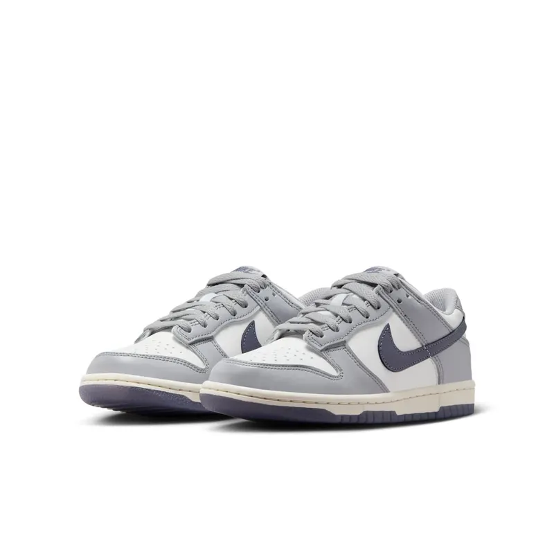 Nike Dunk Low SE Light Carbon Grey (GS) (FB9109-101)