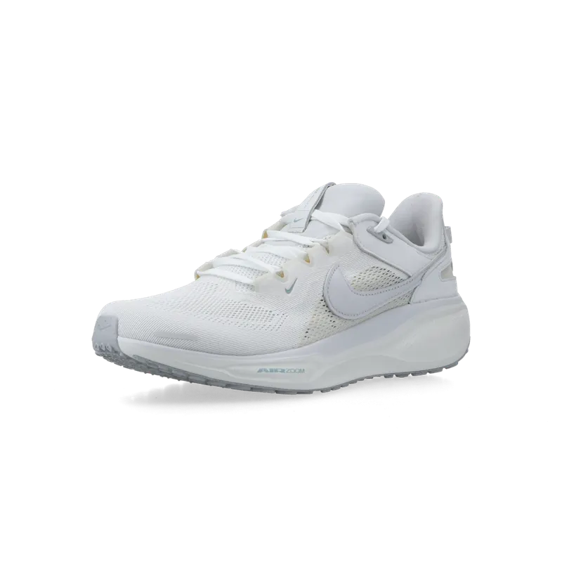 Nike Air Zoom Pegasus 41 SP (ivory / vast grey / coconut milk) – HQ6025-100