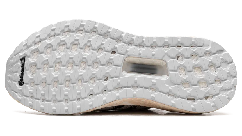 adidas-ultraboost FW5721