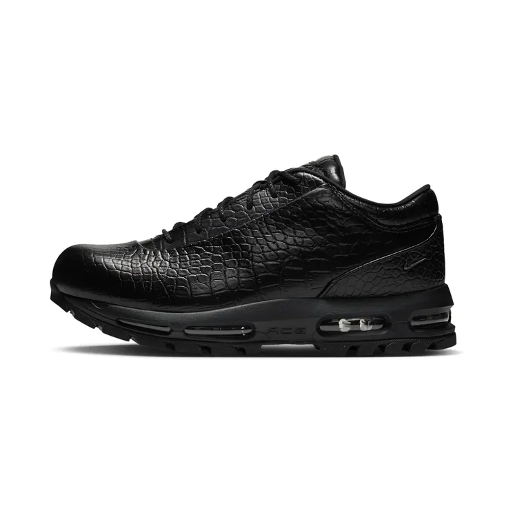 Nike Air Max Goadome Low (IV4517-001)