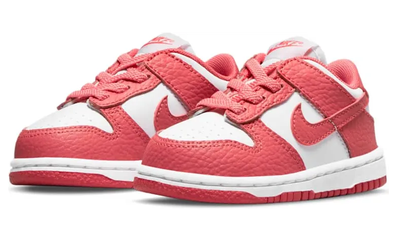 nike-dunk DC9562-111