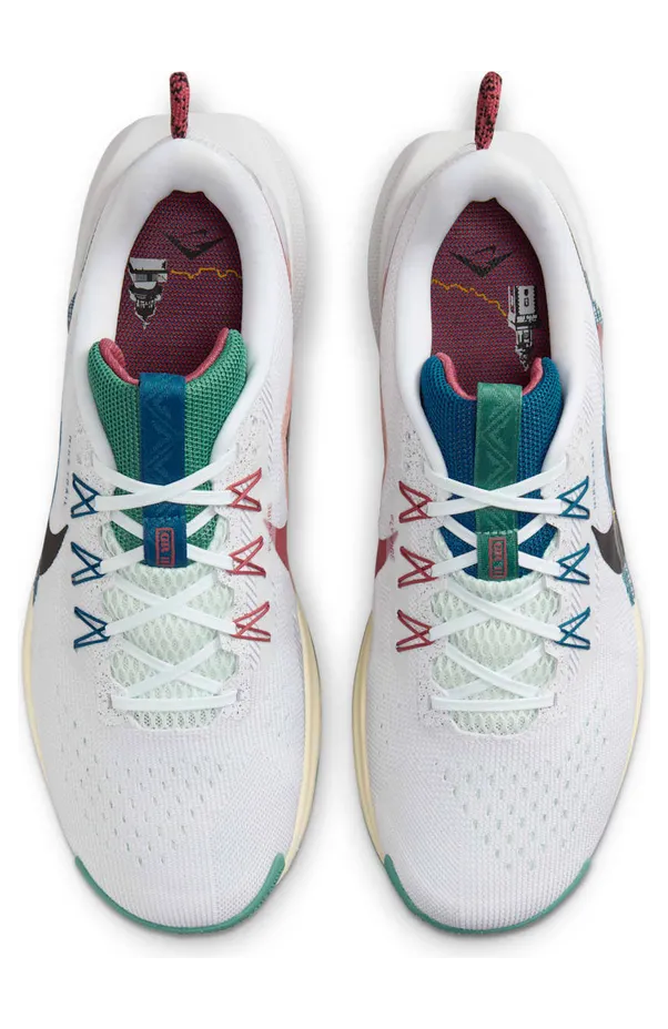 nike-air-pegasus DV3864-100