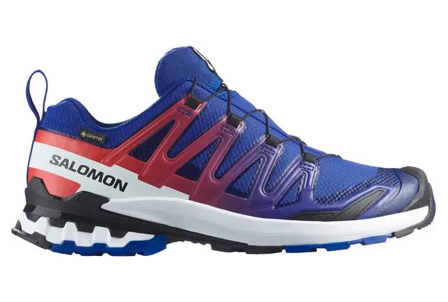 Salomon XA PRO 3D V9 GTX EQUIPE für Herren, blau, Größe 44 ⅔ EU / 10 UK (L47982600)