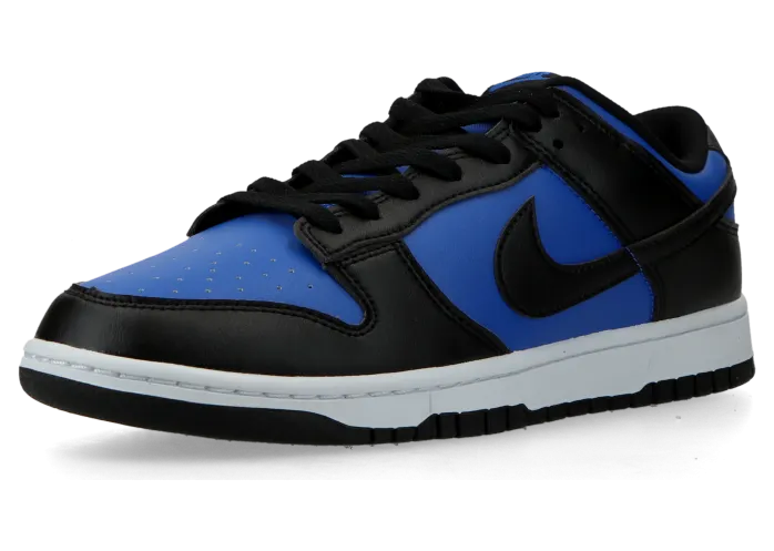 nike-dunk HF5441-401