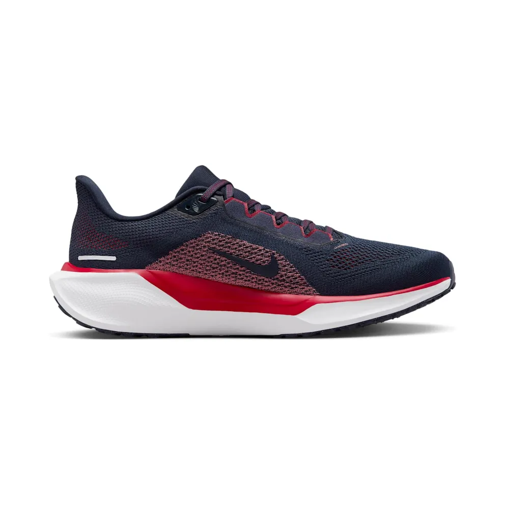 Nike Air Zoom Pegasus 41 Houston Texans (FZ5098-400)