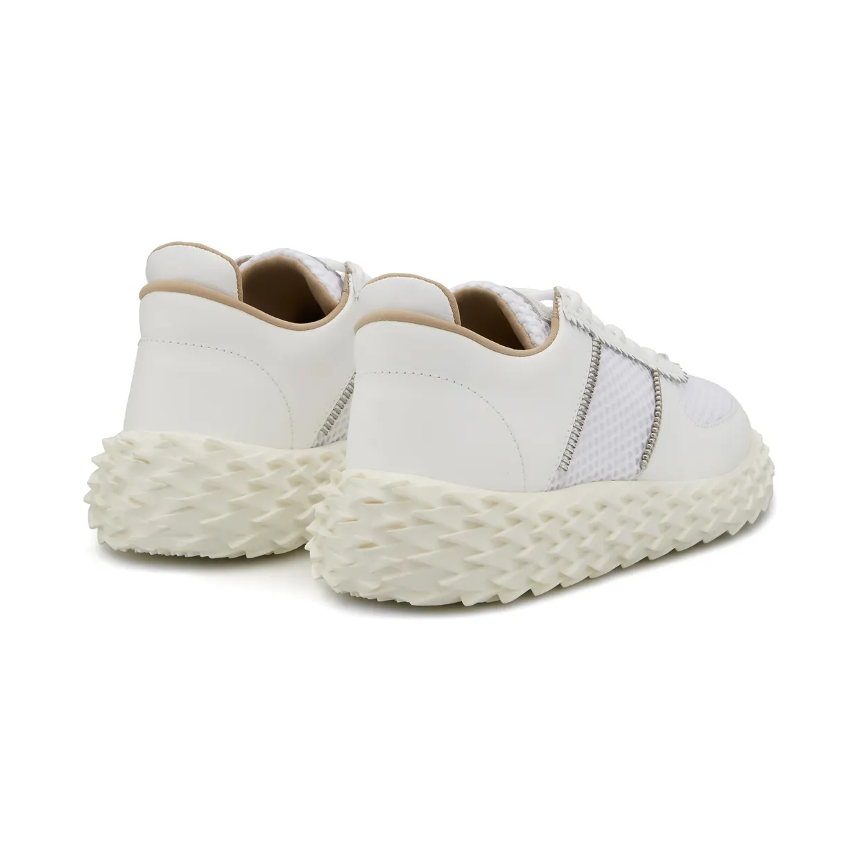 Giuseppe Zanotti Urchin (RM00029003) (3)