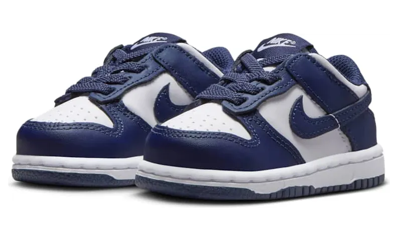 nike-dunk FB9107-116