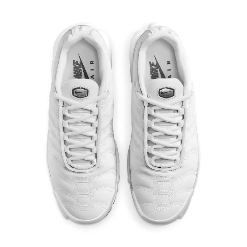 Nike Air Max Plus Platinum Tint/Dark Smoke Grey/Metallic Silver/Platinum Tint (FZ4342-001)