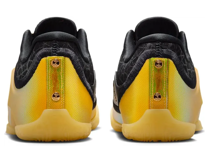 nike-lebron IX4878-005