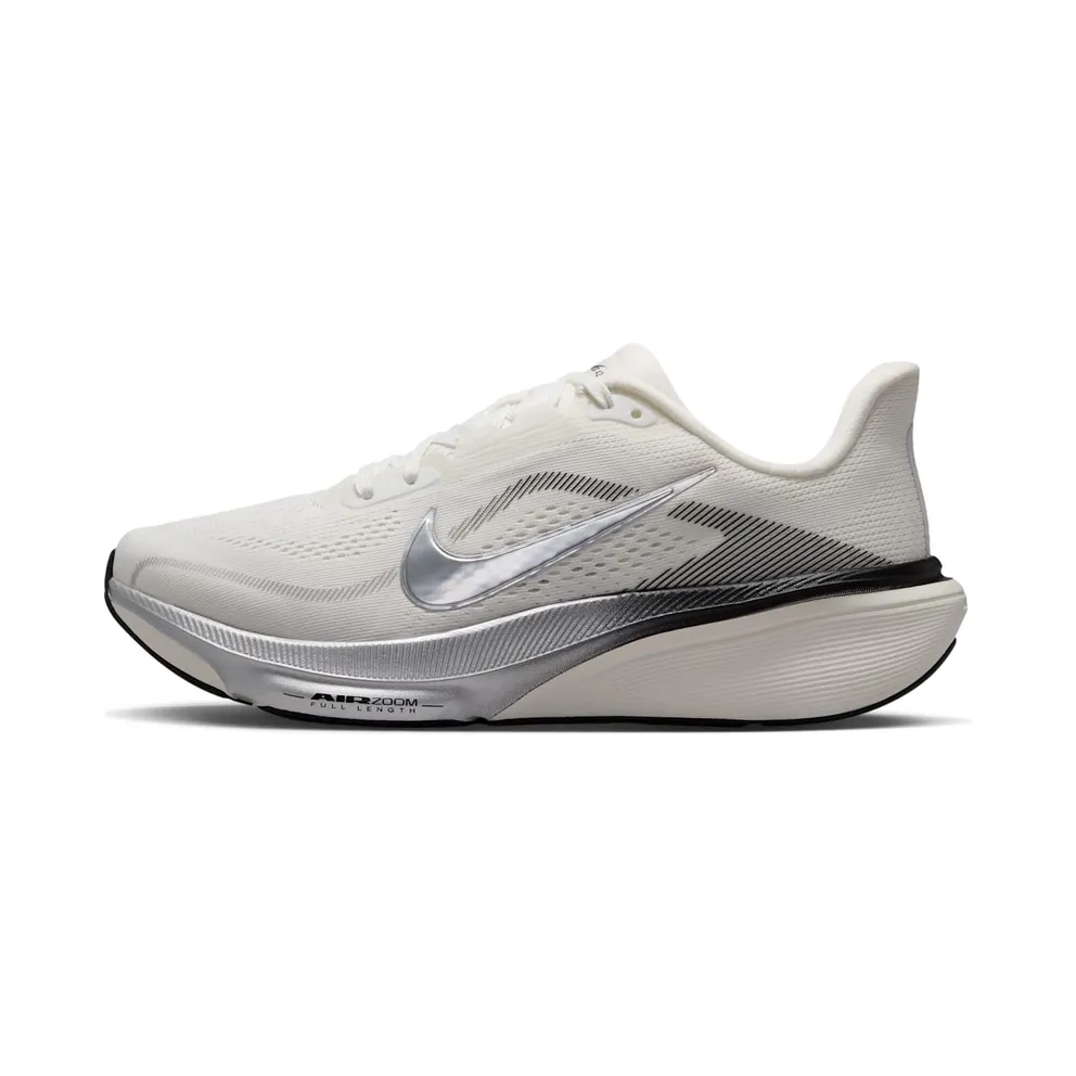 Nike Pegasus Summit White/Sail/Schwarz/Metallic Silver (IR0298-100)