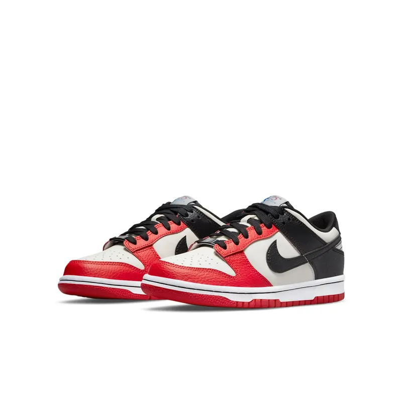 Nike Dunk Low EMB NBA 75th Anniversary Chicago (GS) (DO6288-100)