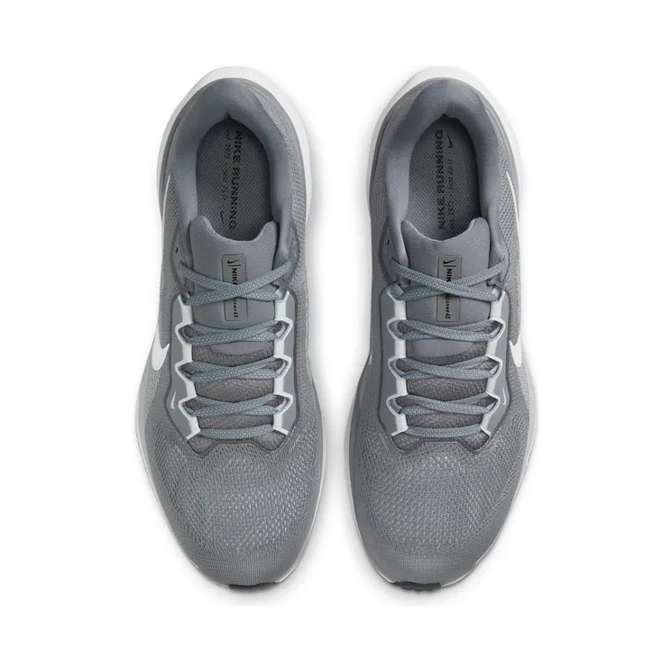 nike-air-pegasus FD2722-009
