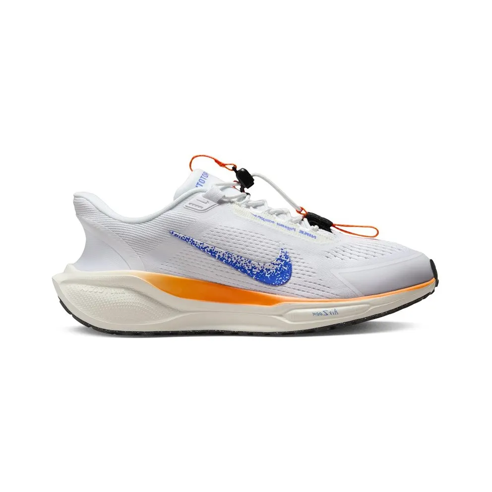 Nike Air Zoom Pegasus 41 EasyOn Blueprint Multi-Color (HM0375-900)