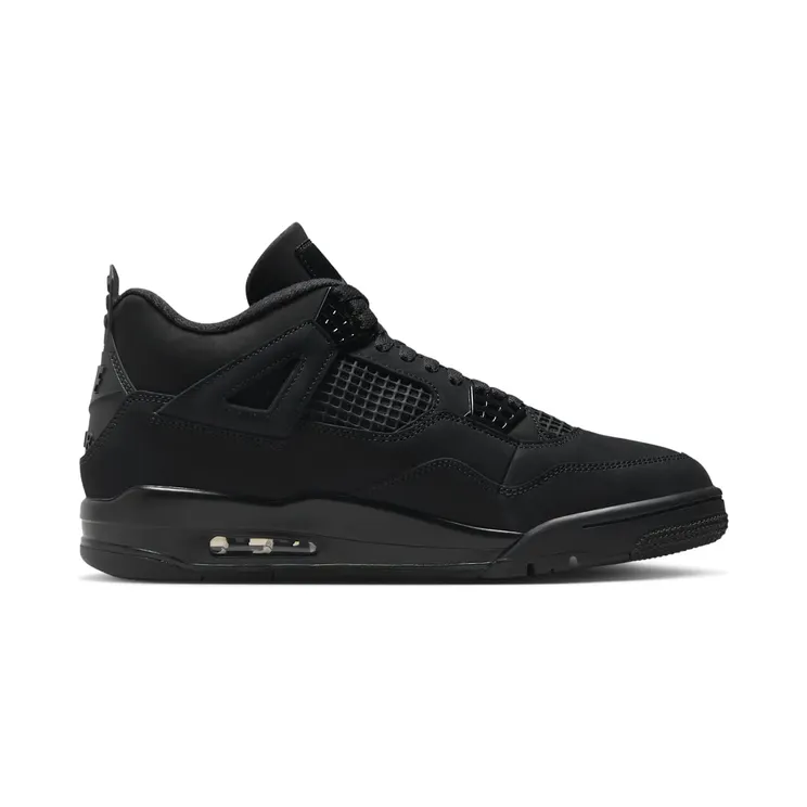 air-jordan-4 FV5029-010