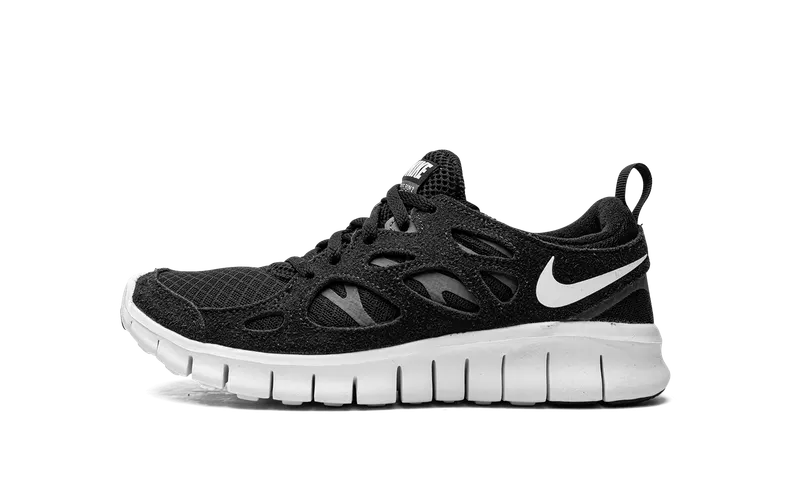 Nike Free Run 2 (GS) “Dark Grey” (DD0163-004)