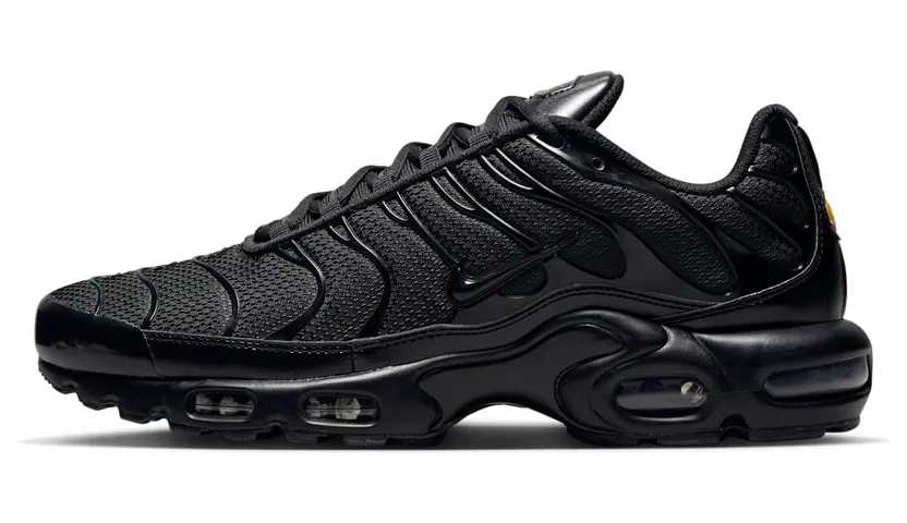 Nike Air Max Plus Zwart (604133-050)