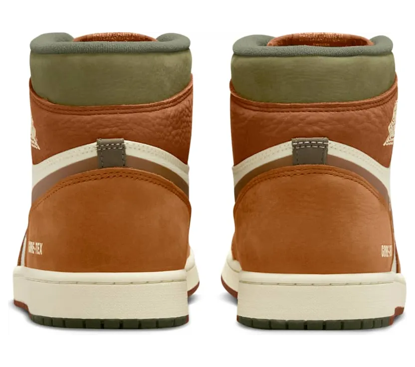 air-jordan-1 DB2889-102