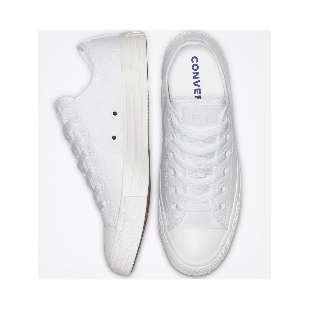 Converse Mono Colour Chuck Taylor All Star Low Top (1U647)