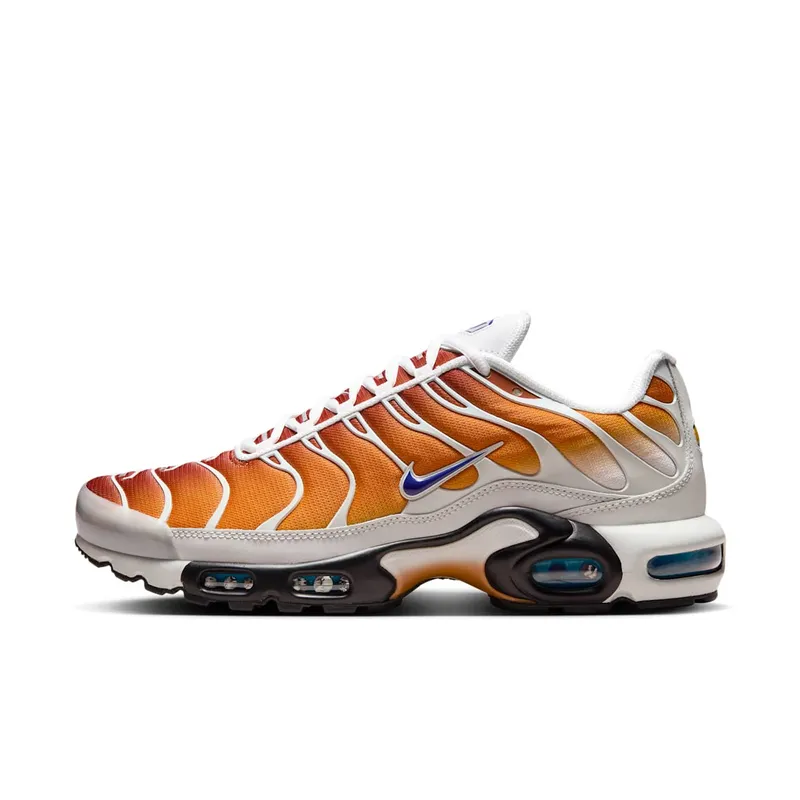 Nike Air Max Plus One Block Down Chutney (FZ3308-700)