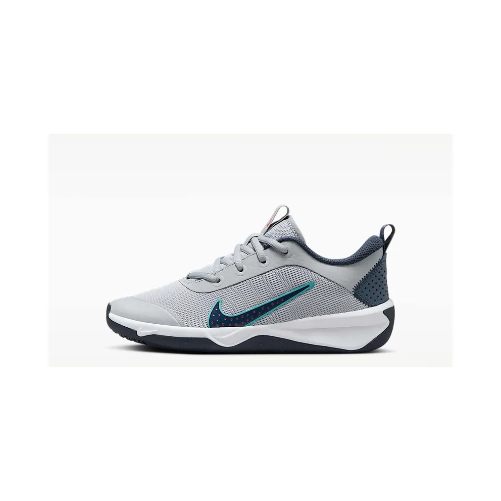 Nike Omni Multi-Court Wolf Grey Bright Crimson Dusty Cactus Thunder Blue (DM9027-010)