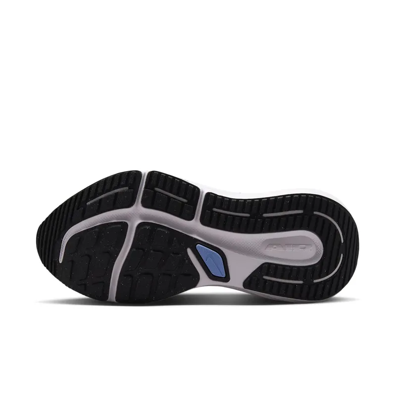 Nike Winflo 12 Grey (HV9273-005)