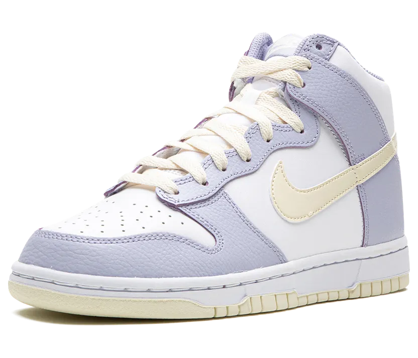 nike-dunk FN3504-100