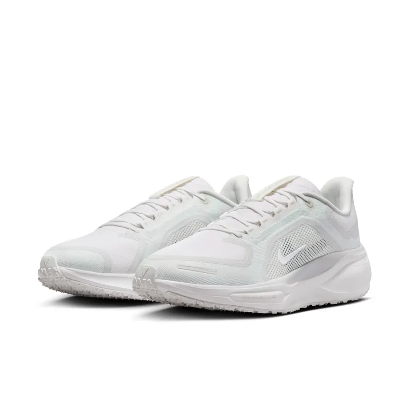 Nike Air Zoom Pegasus 41 “Gore-Tex” (FQ1356-101)