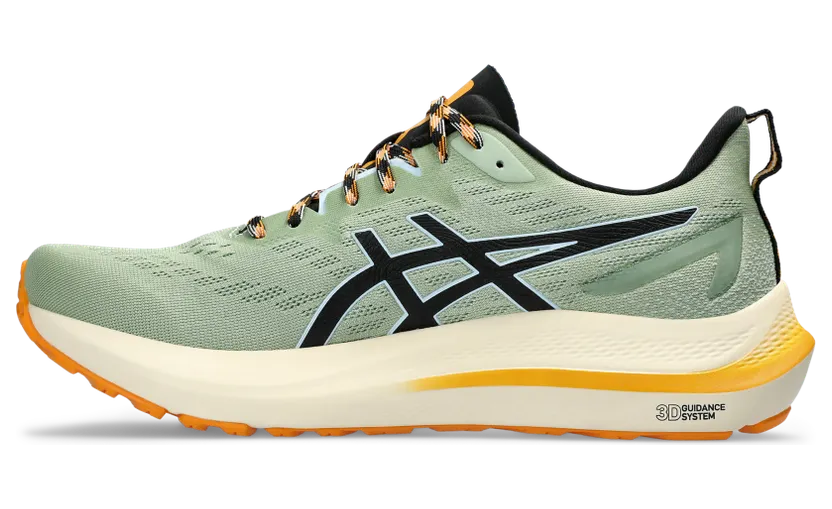 asics-gt-2000-2 1011B775.250