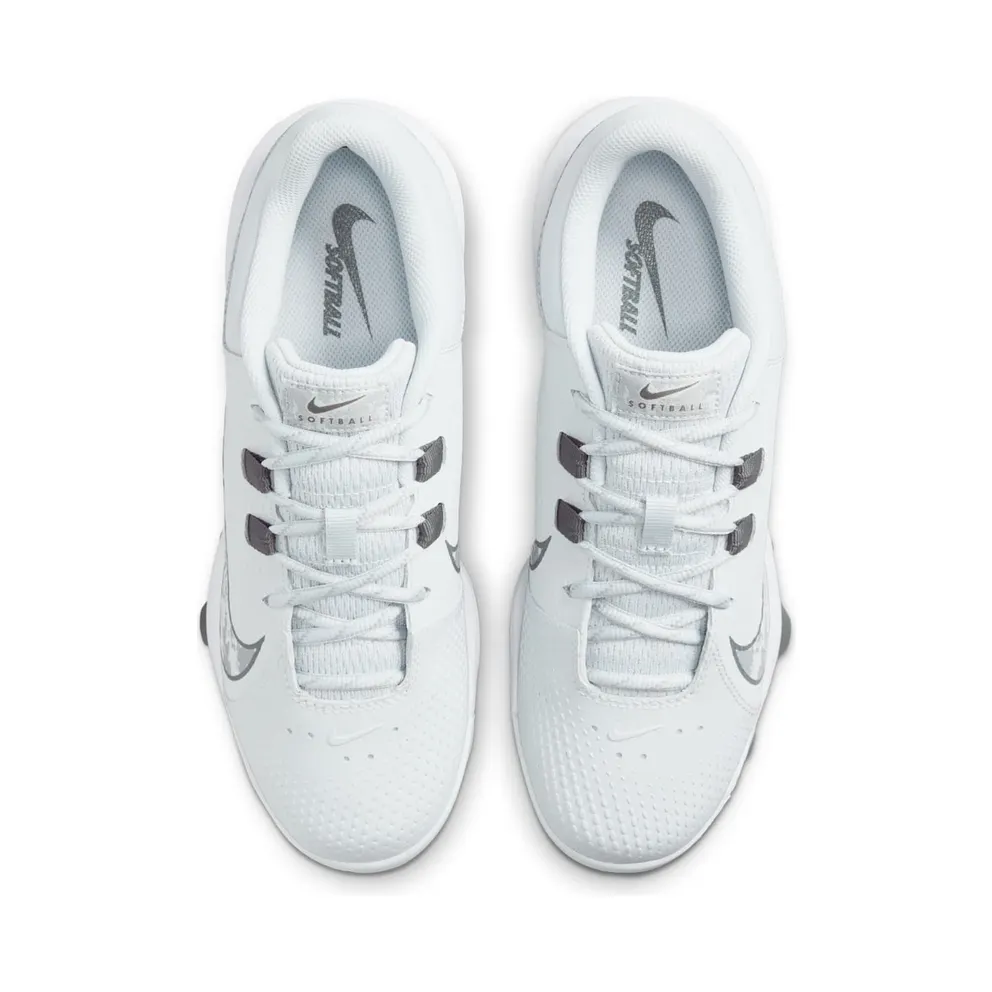 Nike Hyperdiamond 4 Pro MCS Pure Platinum Iron Grey White Wolf Grey (FZ0921-002)