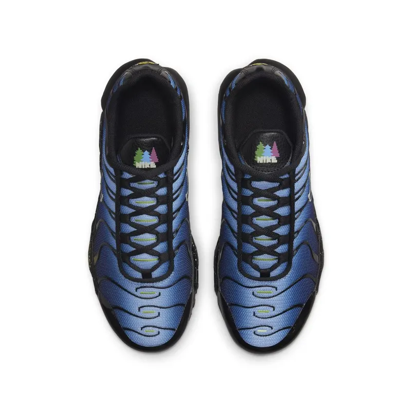 Nike Air Max Plusen Black (DV3484-001)