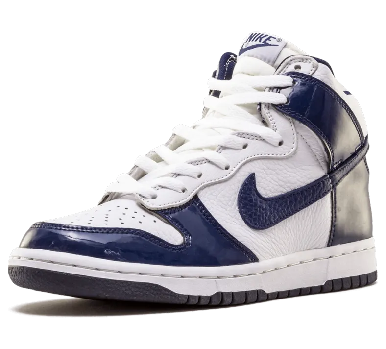 nike-dunk 304093-141