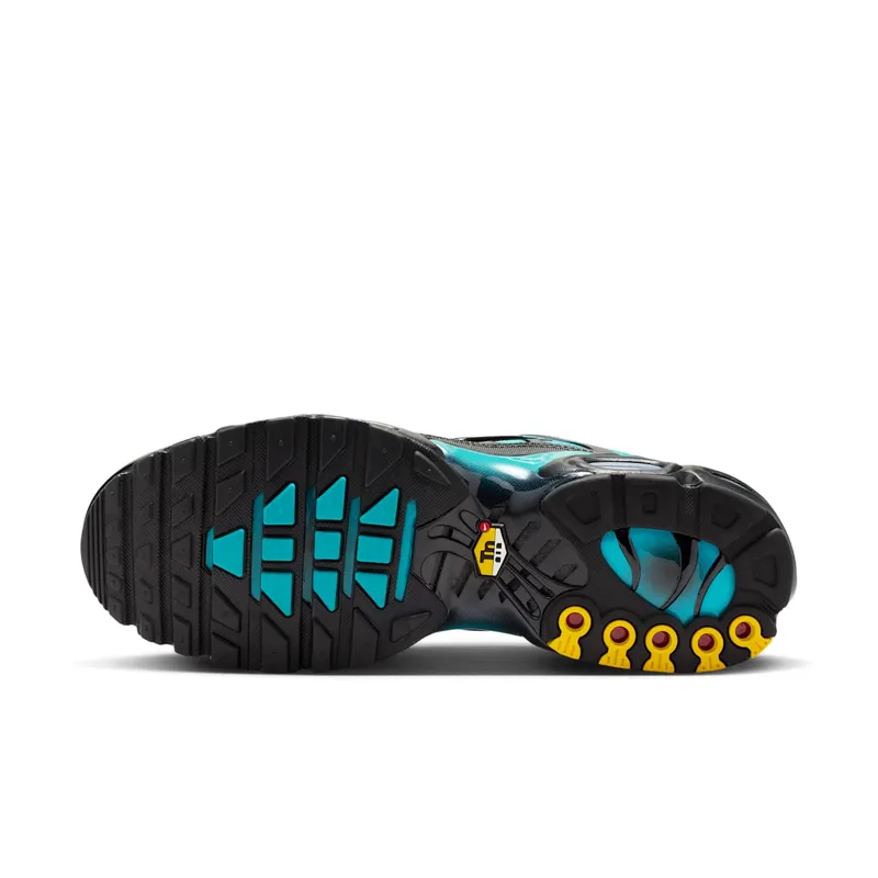 Nike Air Max Plus Black Dusty Cactus (DM0032-016)