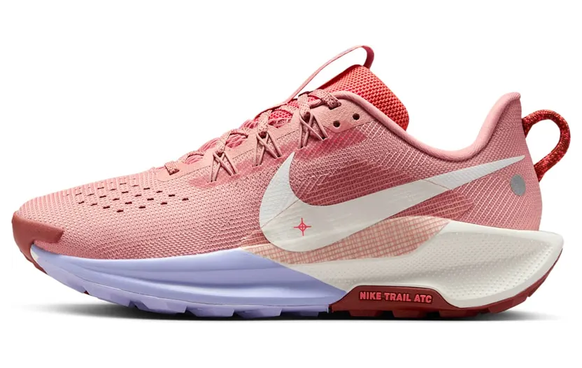 Nike Air Pegasus DV3865-601