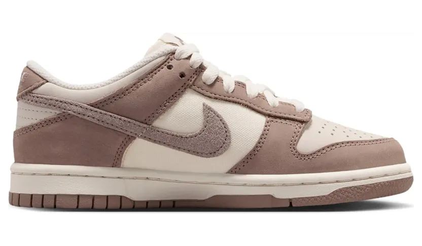 nike-dunk IB5721-100
