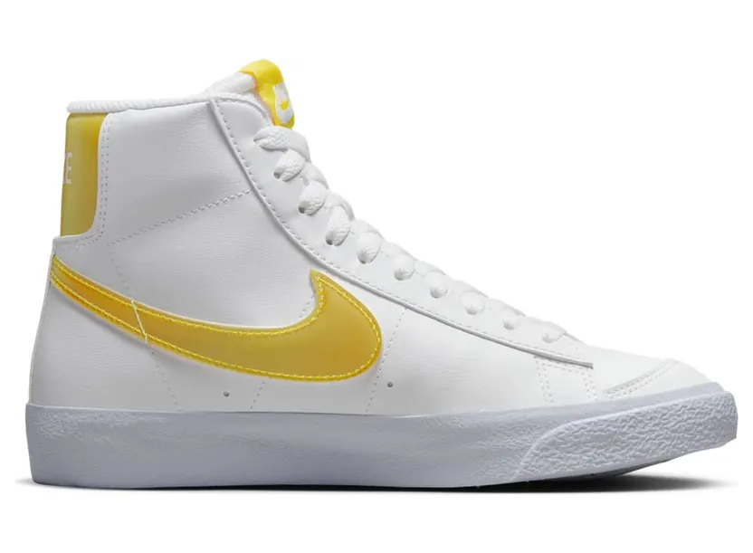 nike-blazer FJ4670-100