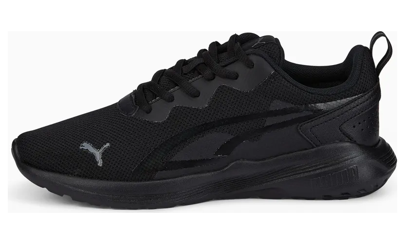 Puma All-Day Active Zwart (387386-06)