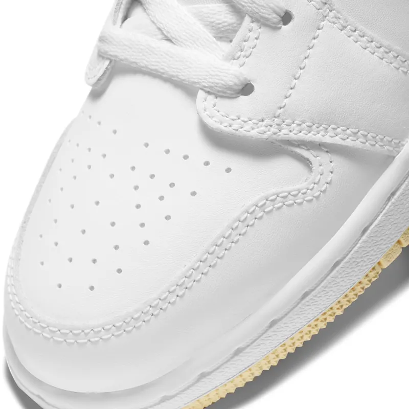 air-jordan-1 DD1666-100