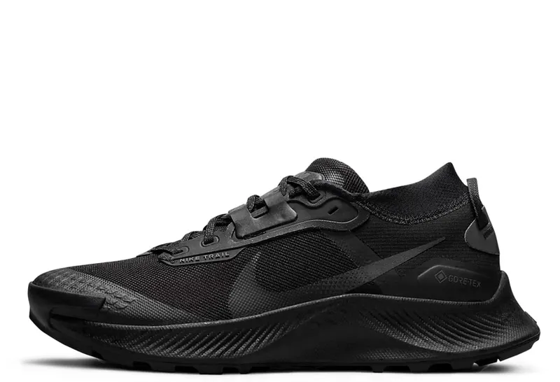 Nike Pegasus Trail 3 GORE-TEX Waterproof Trail Running Black (DC8794-001)