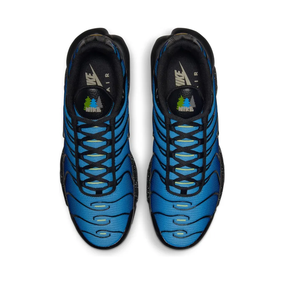 Nike TN Air Max Plus Blue Gradient (DV3493-001)