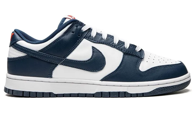 nike-dunk DD1391