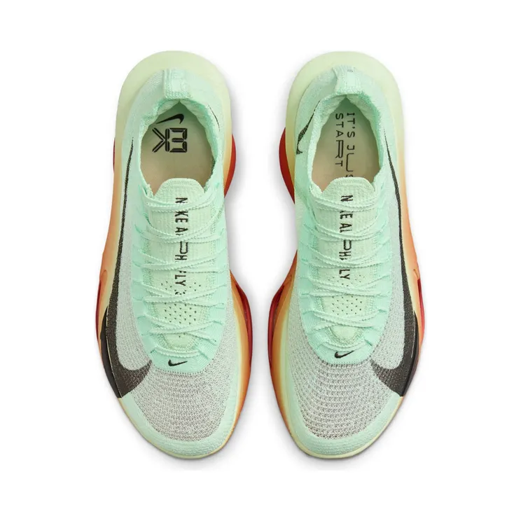 nike-alphafly HJ7041-300