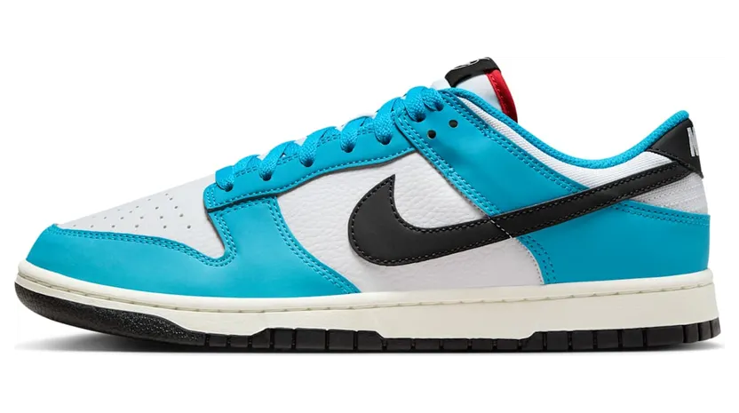 Nike Dunk Low HJ9088-488