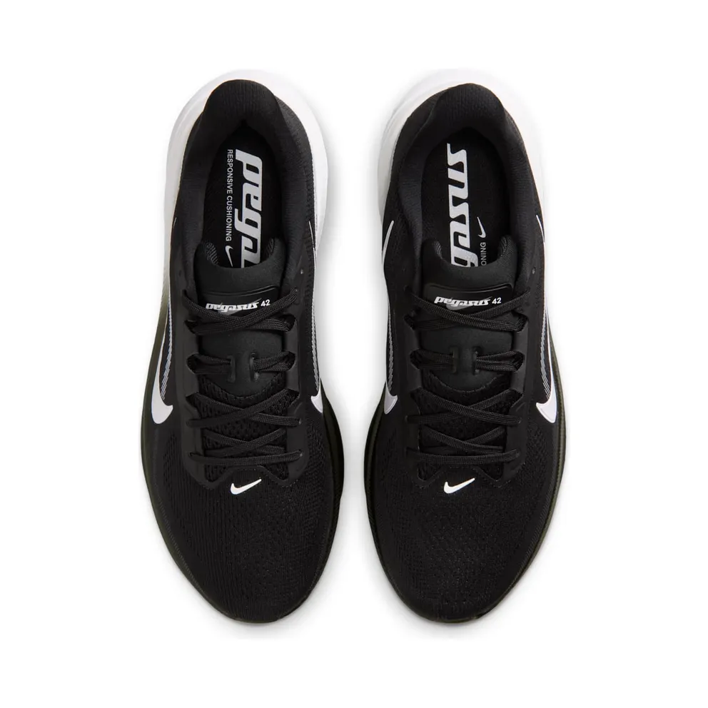 Nike Pegasus Black/Photon Dust/White (IB1873-001)