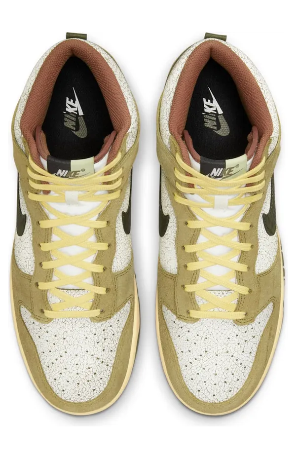 nike-dunk DO6713-300