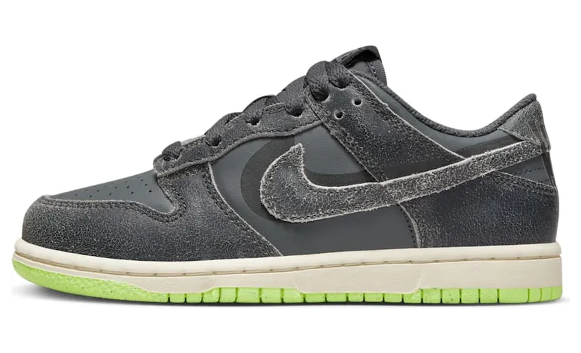 nike-dunk DQ6216-001