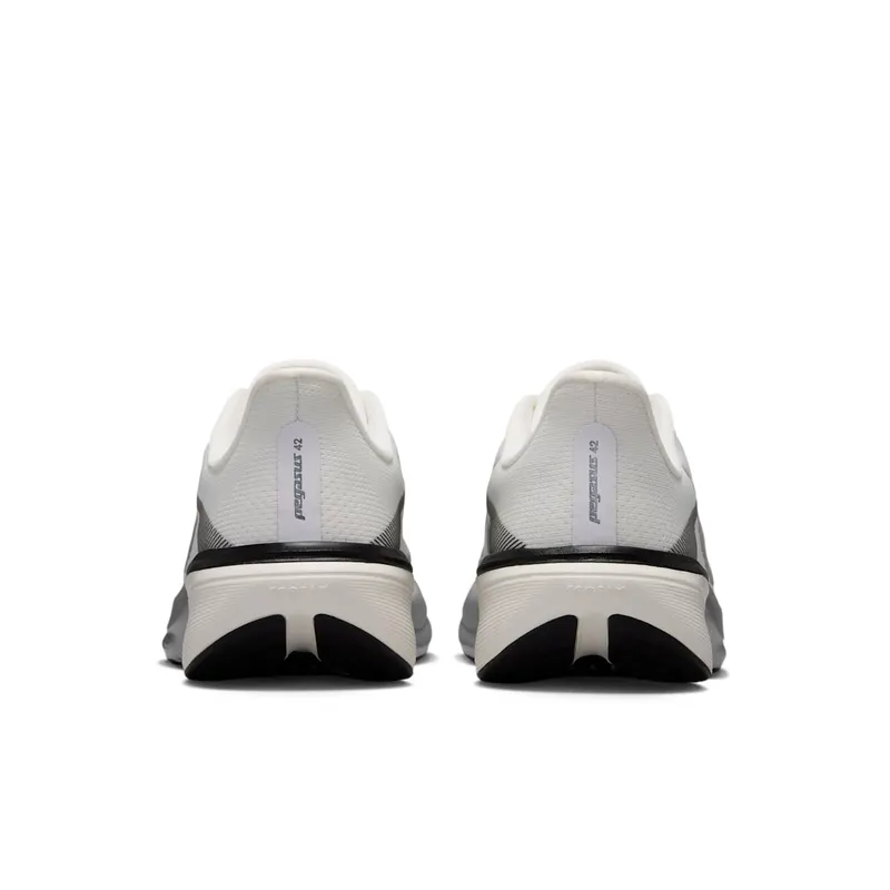 Nike Pegasus Summit White/Sail/Black/Metallic Silver (IR0298-100)